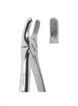 Extracting Forceps